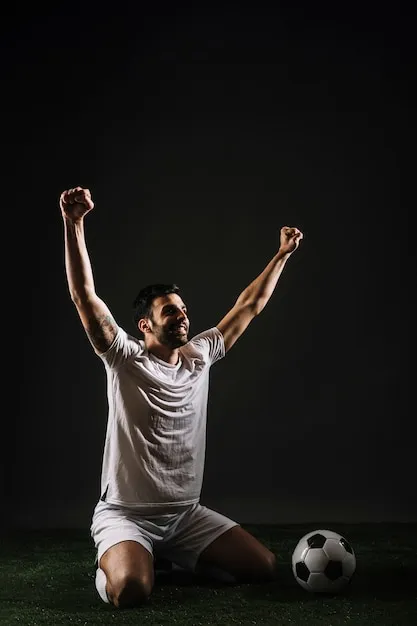 半岛体育 App 界面